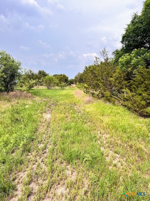 1620 County Road 203 Property Photo 38