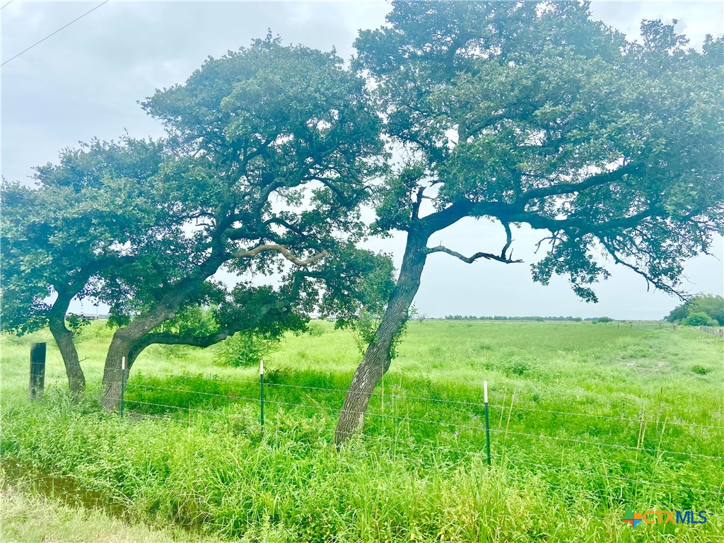 Lot 5 County Road 273 Property Photo