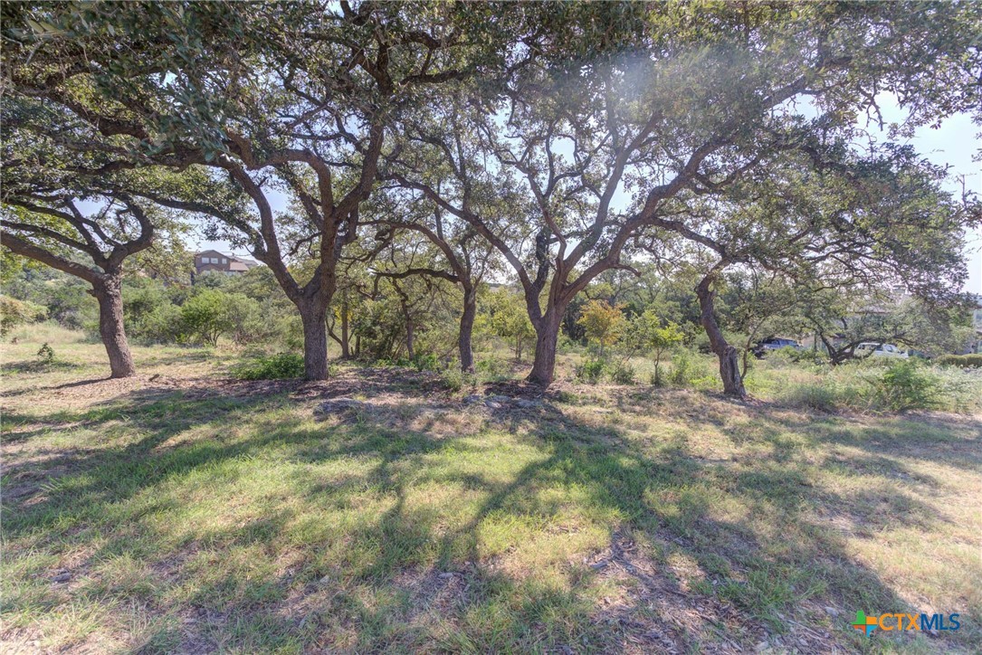 5830 Camp Creek Drive Property Photo 12