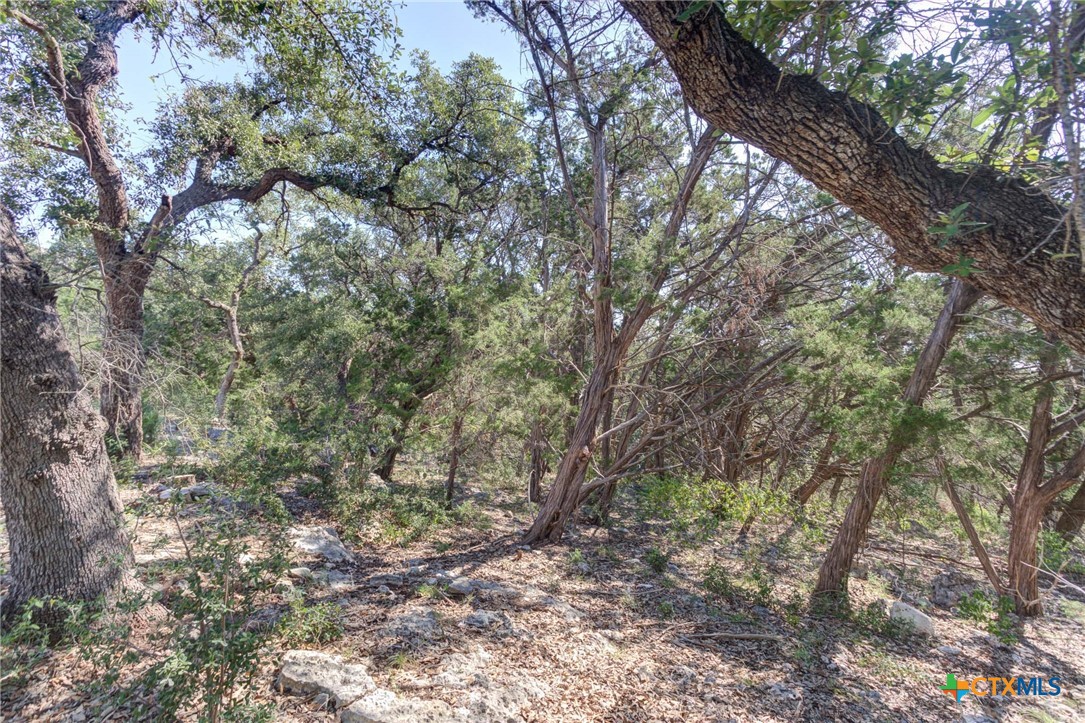5830 Camp Creek Drive Property Photo 15