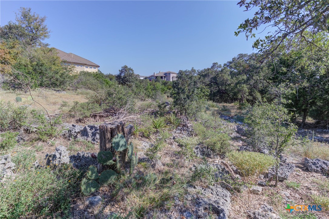 5830 Camp Creek Drive Property Photo 16