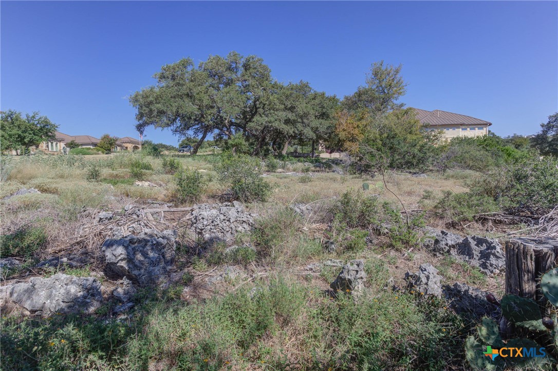 5830 Camp Creek Drive Property Photo 17