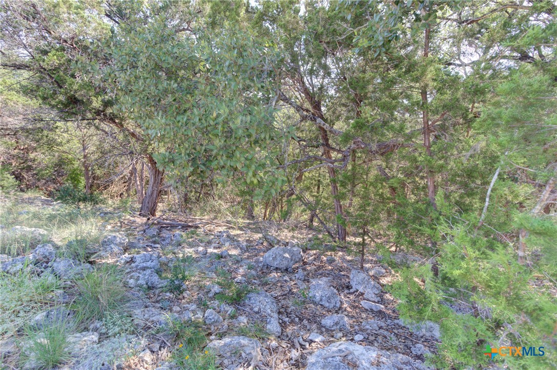 5830 Camp Creek Drive Property Photo 20