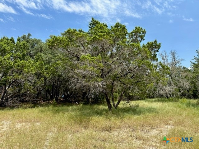 118 Water Oak Lane Property Photo 1