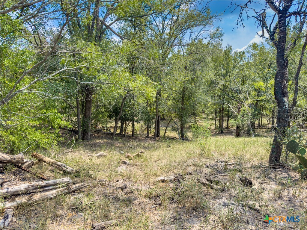 Tbd Hwy 183 S Property Photo 10