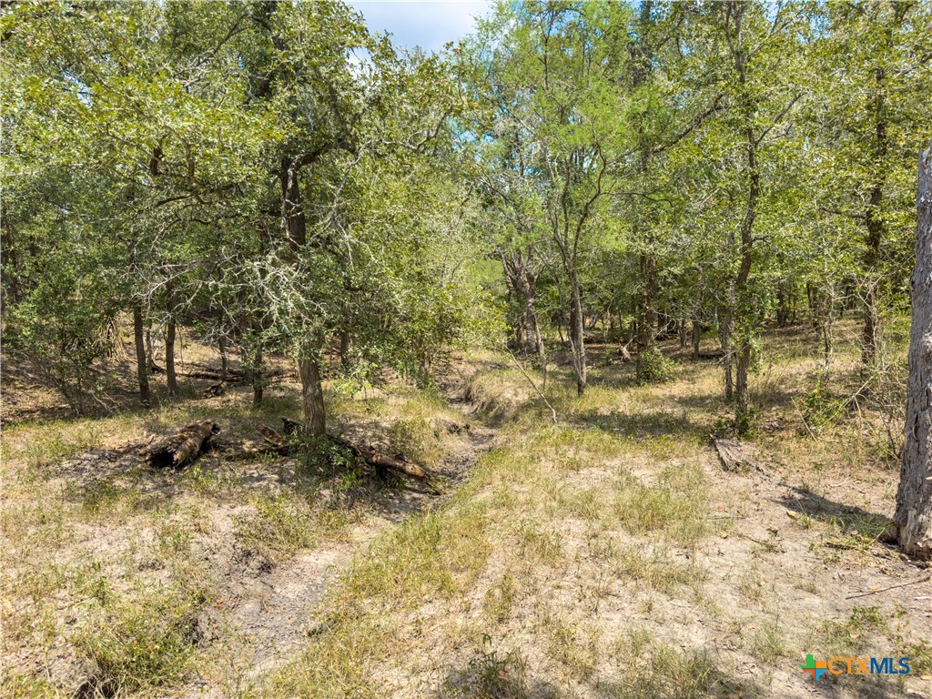 Tbd Hwy 183 S Property Photo 11