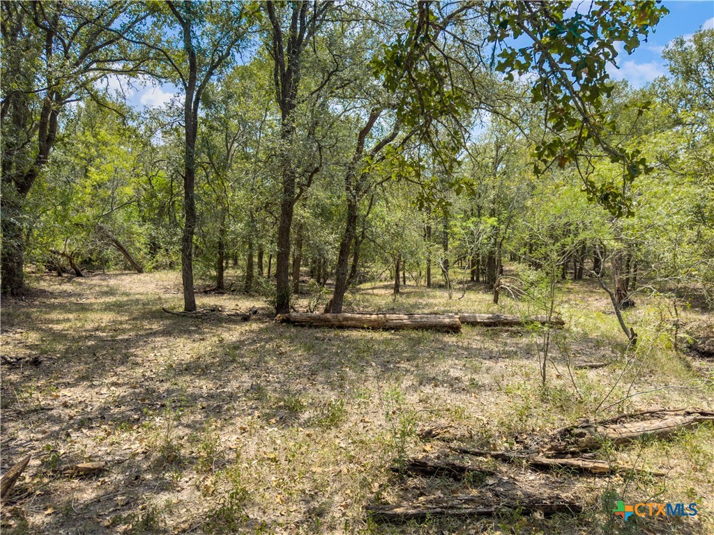 Tbd Hwy 183 S Property Photo 12