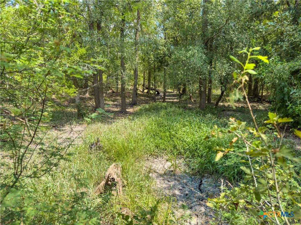 Tbd Hwy 183 S Property Photo 17