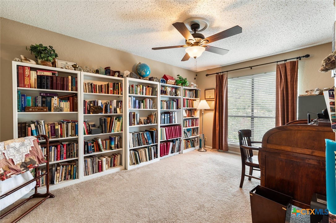 2501 Canyon Cliff Drive Property Photo 35