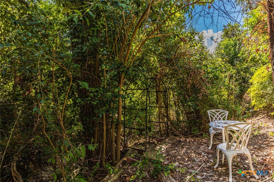 2501 Canyon Cliff Drive Property Photo 47
