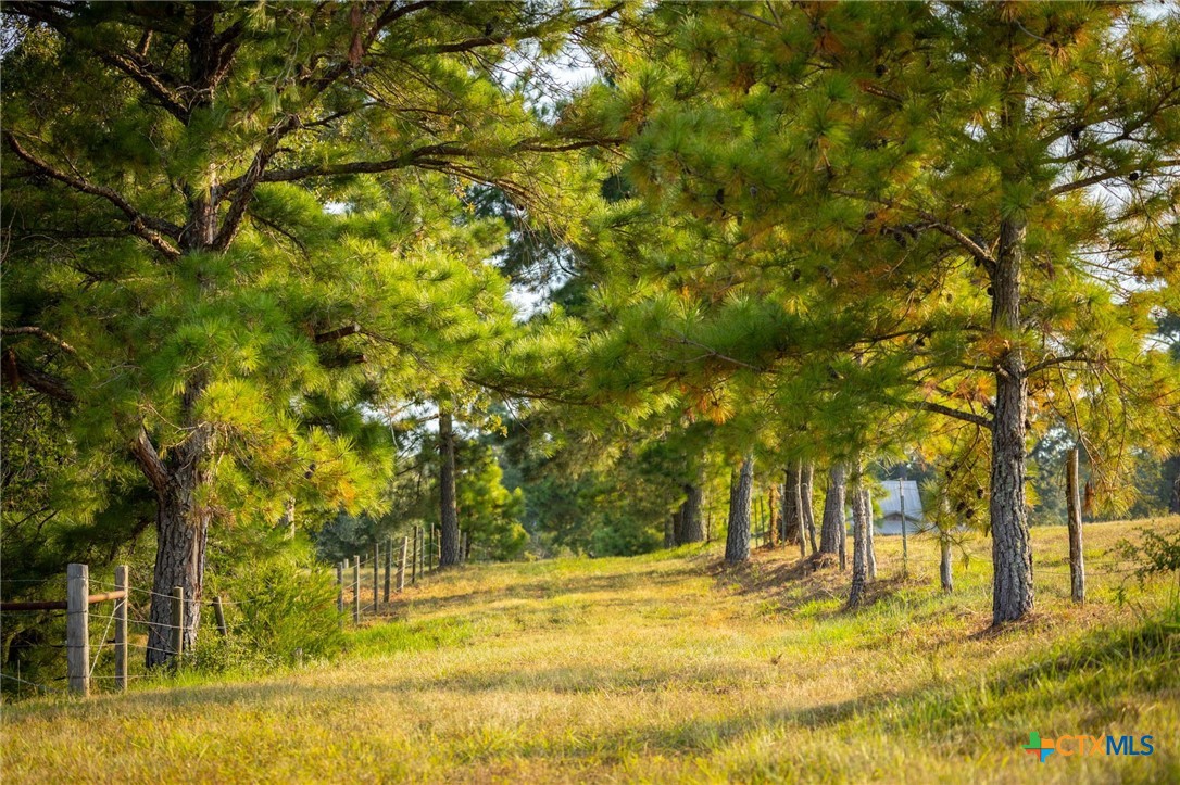 1031 Angel Lake Estates Road Property Photo 5