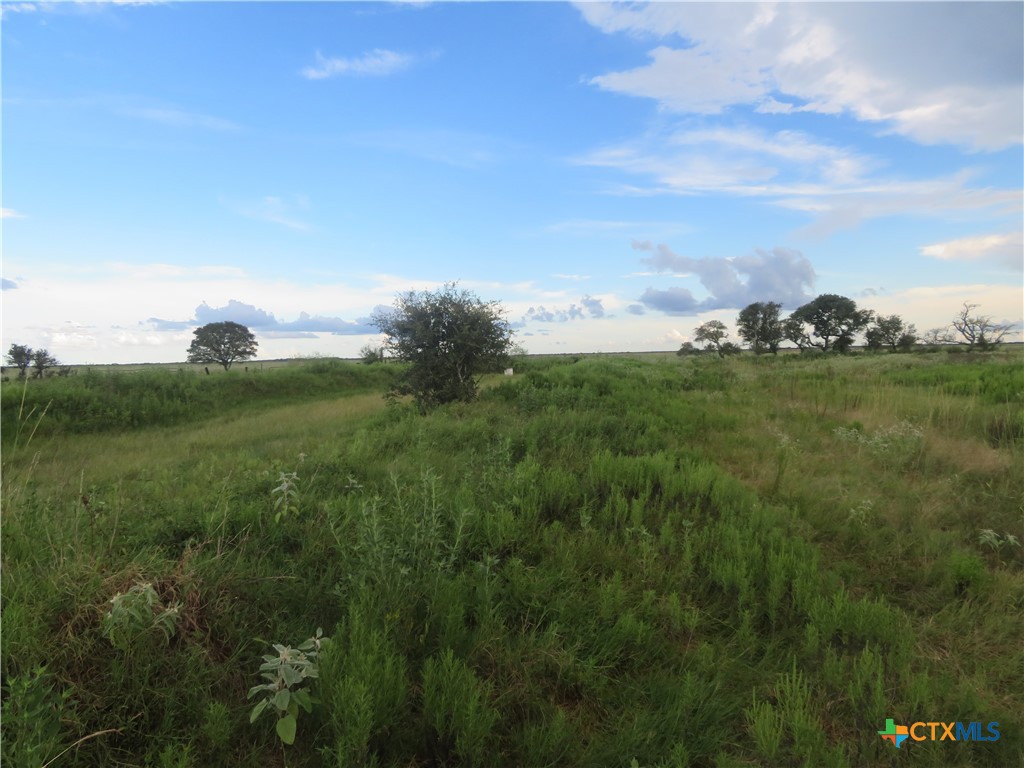 0 Co Rd 127 Property Photo 13