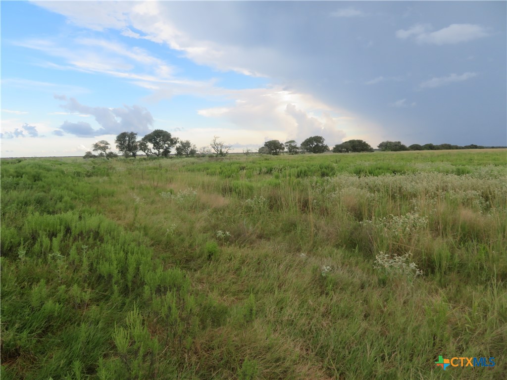 0 Co Rd 127 Property Photo 14