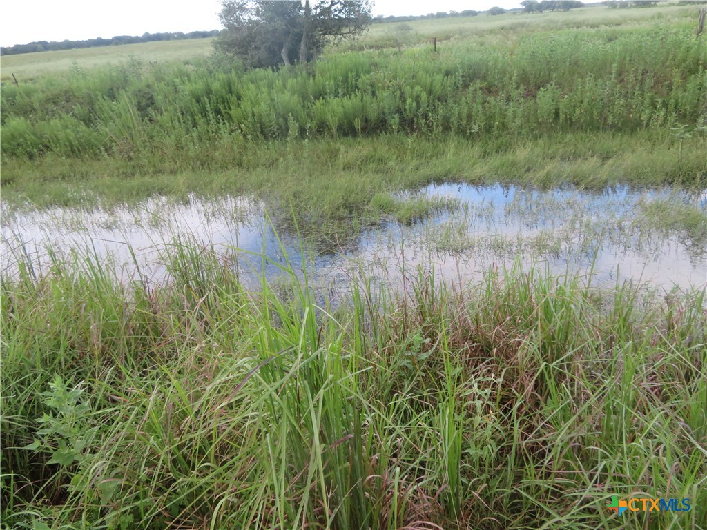0 Co Rd 127 Property Photo 19