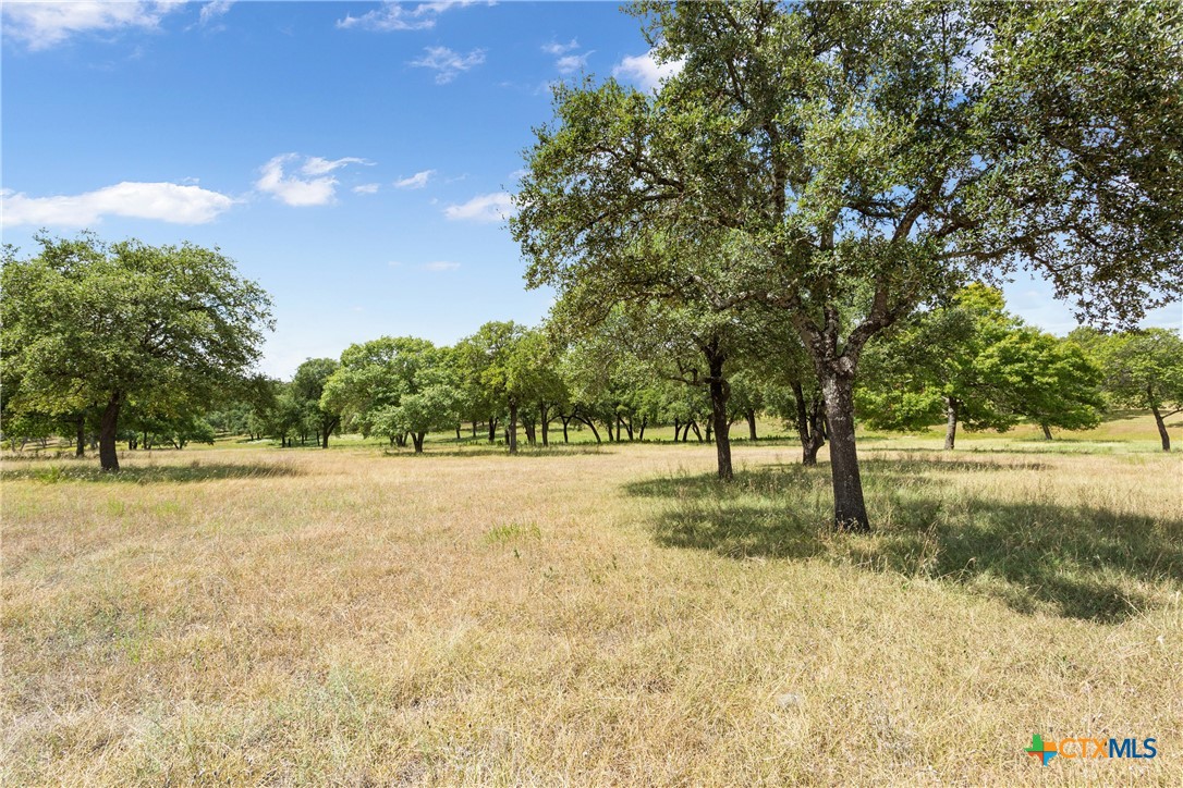 Tbd Split Oak Ranch Rd Property Photo 4