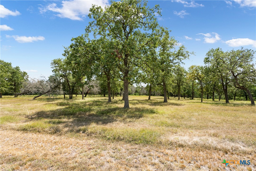 Tbd Split Oak Ranch Rd Property Photo 5