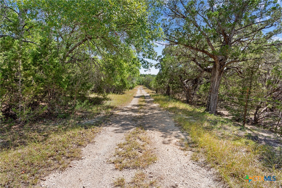 Tbd Split Oak Ranch Rd Property Photo 6