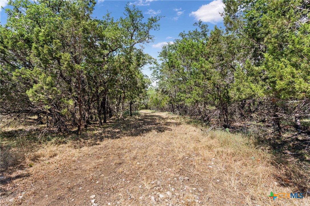 Tbd Split Oak Ranch Rd Property Photo 8
