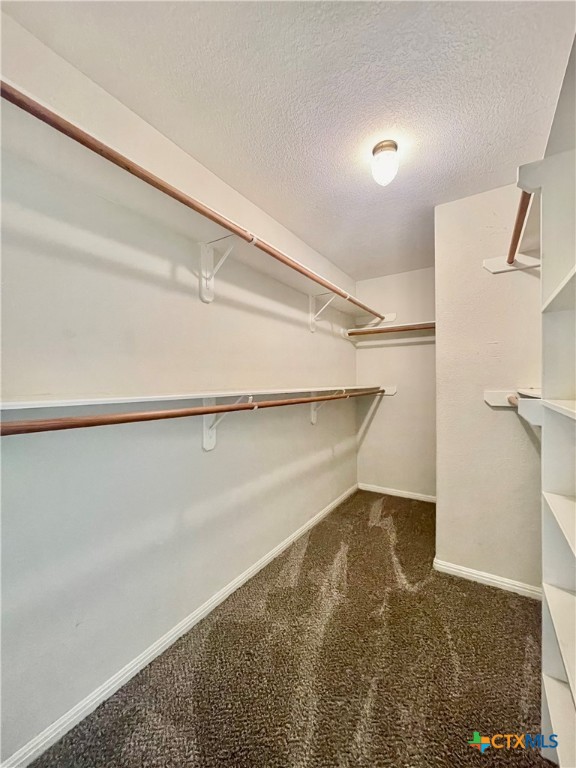 1206 Debbie Court Property Photo 9