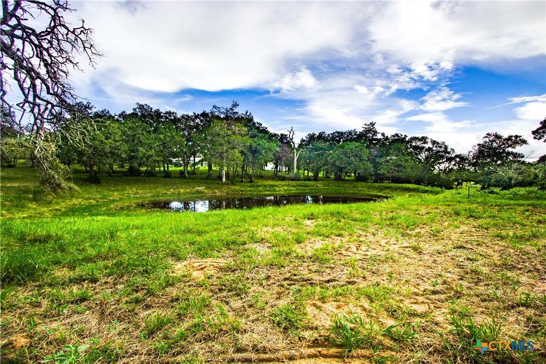 439 Sandy Ranch Road Property Photo 4