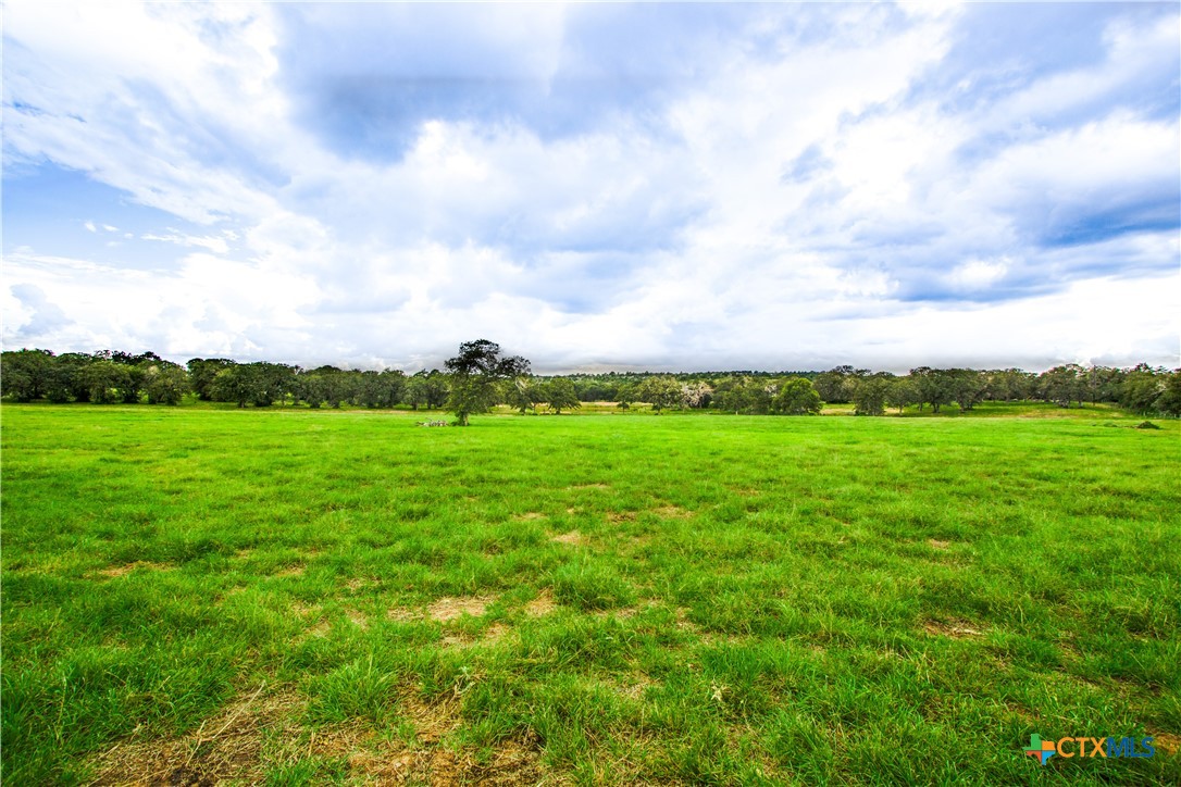 439 Sandy Ranch Road Property Photo 5