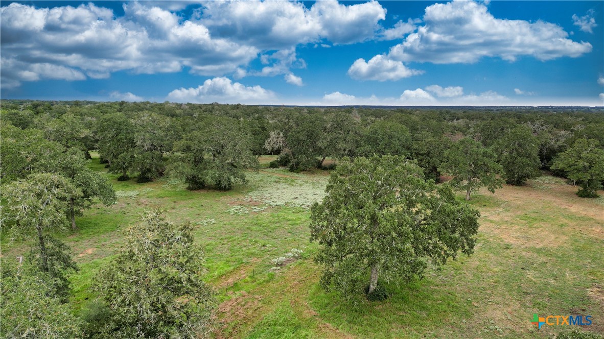 439 Sandy Ranch Road Property Photo 13
