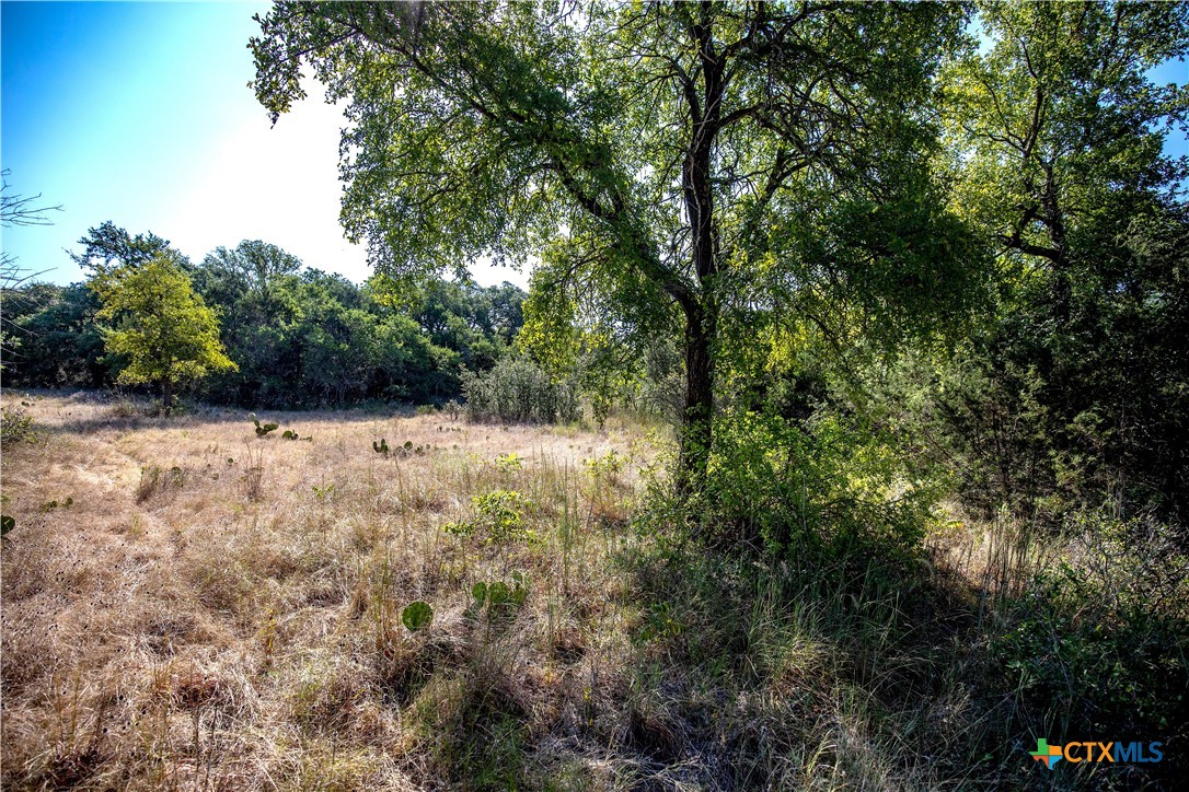 Tbd River Run Road Property Photo 4