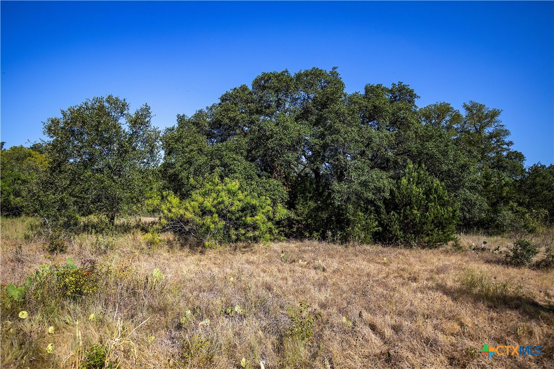 Tbd River Run Road Property Photo 7