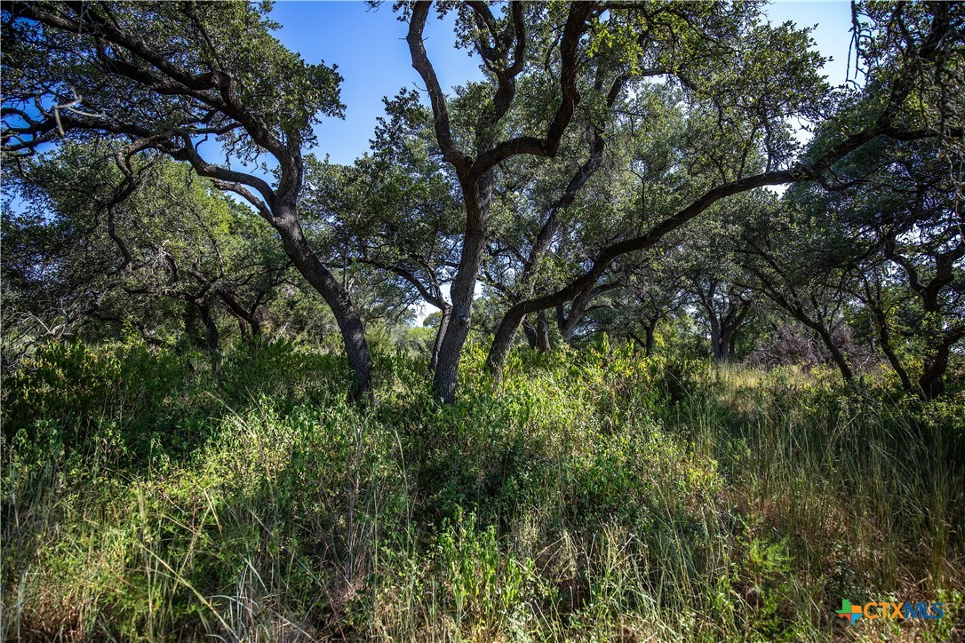 Tbd River Run Road Property Photo 9