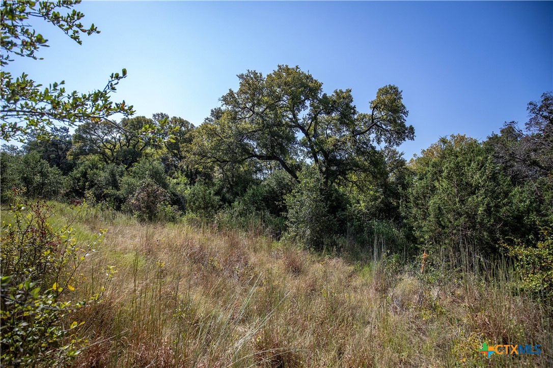 Tbd River Run Road Property Photo 10