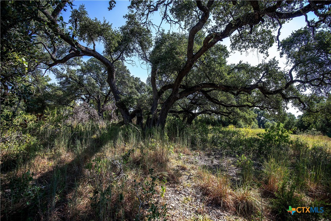 Tbd River Run Road Property Photo 11
