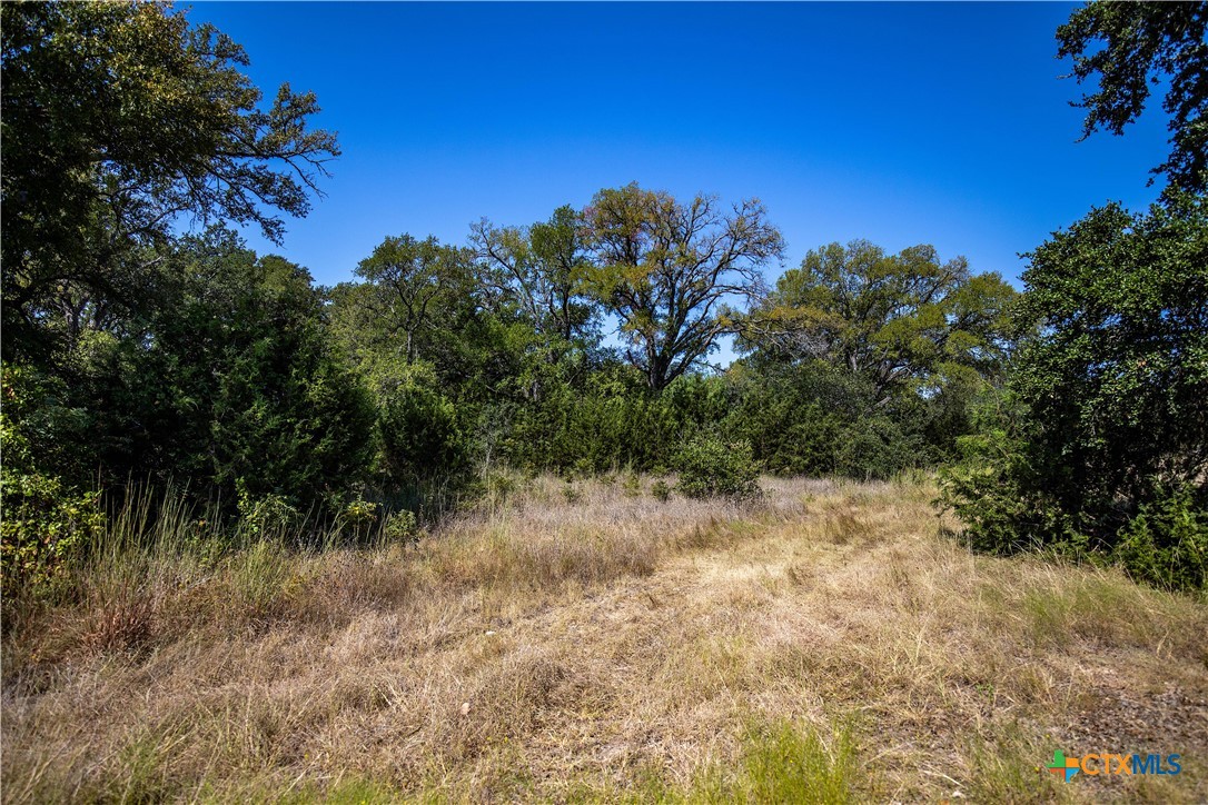 Tbd River Run Road Property Photo 12