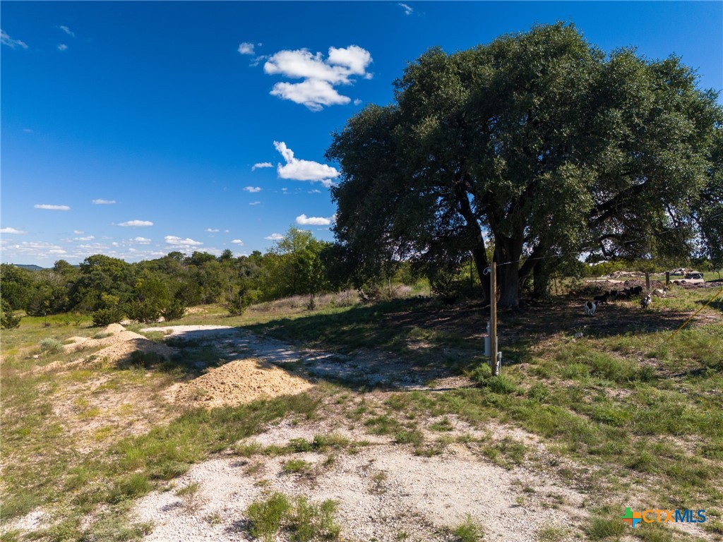 6855 Fm 2657 Property Photo 10