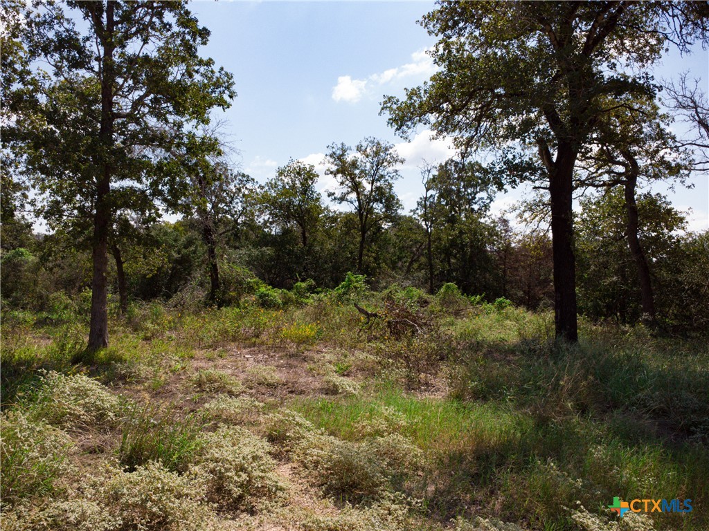 394 Turkey Hollow Road Property Photo 16