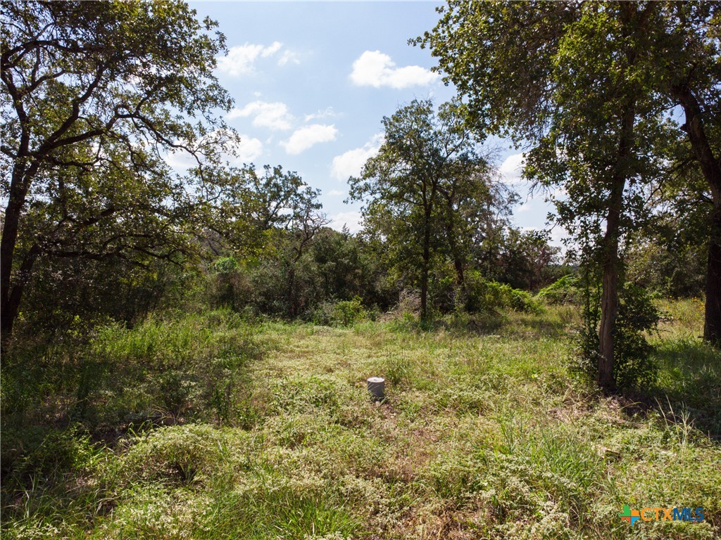 394 Turkey Hollow Road Property Photo 17