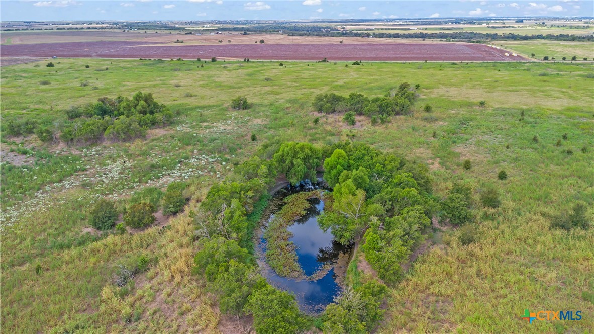 Tbd County Road 455 Property Photo 2