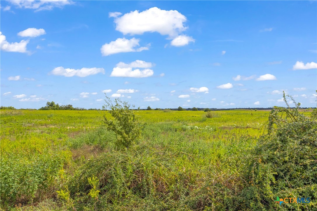 Tbd County Road 455 Property Photo 4