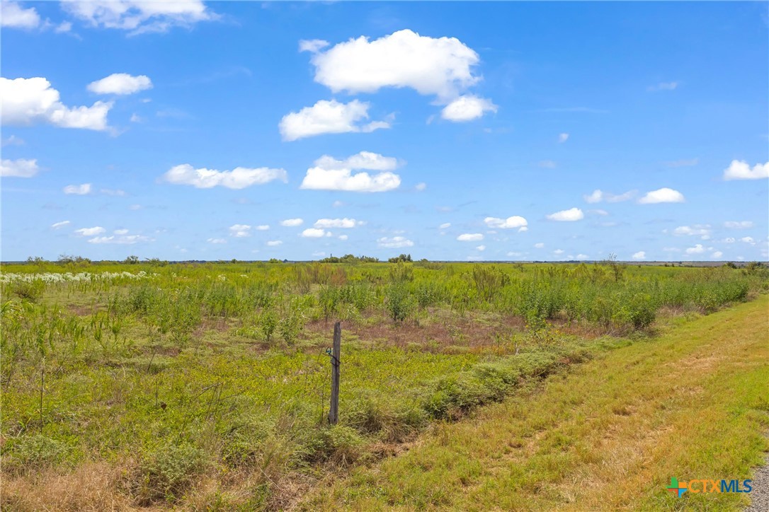 Tbd County Road 455 Property Photo 7