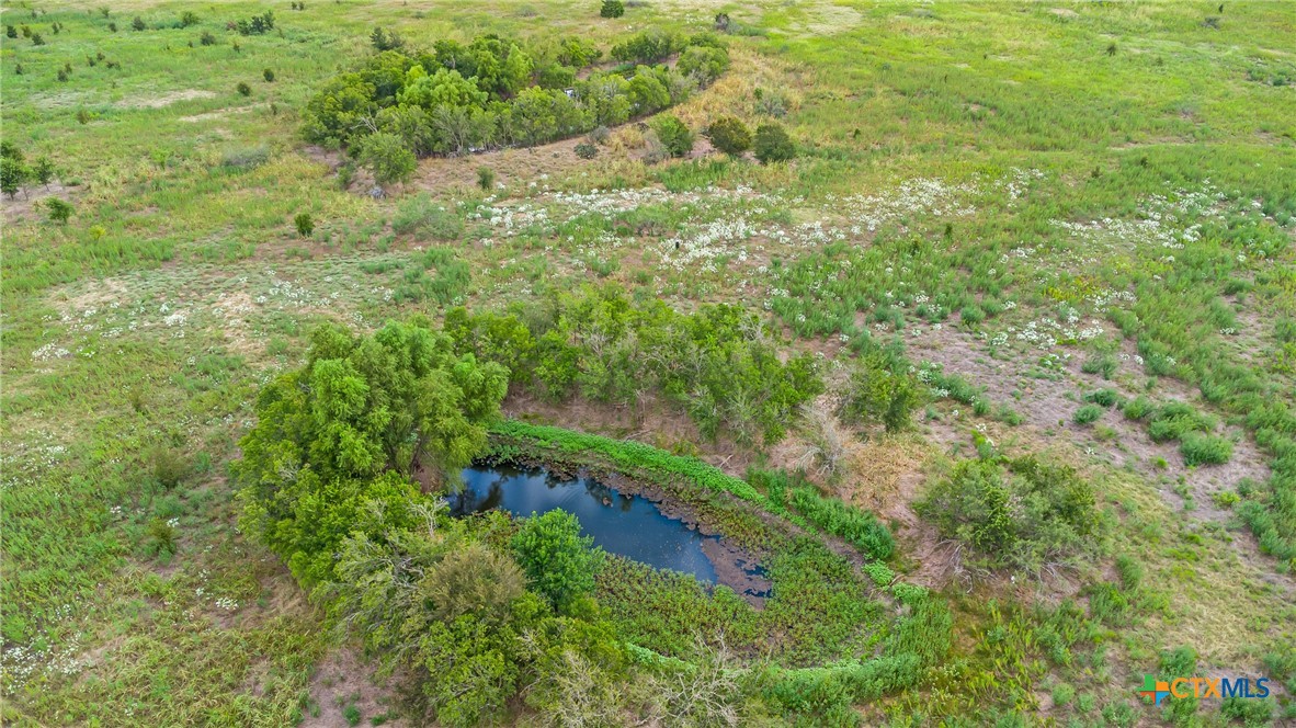 Tbd County Road 455 Property Photo 13