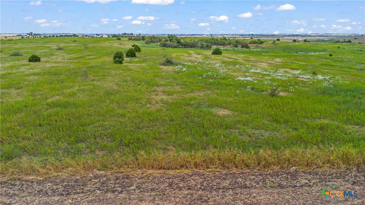 Tbd County Road 455 Property Photo 15