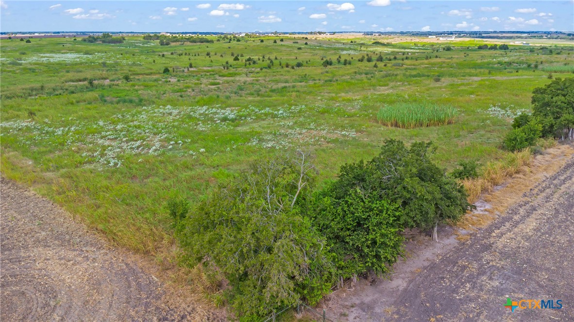Tbd County Road 455 Property Photo 17
