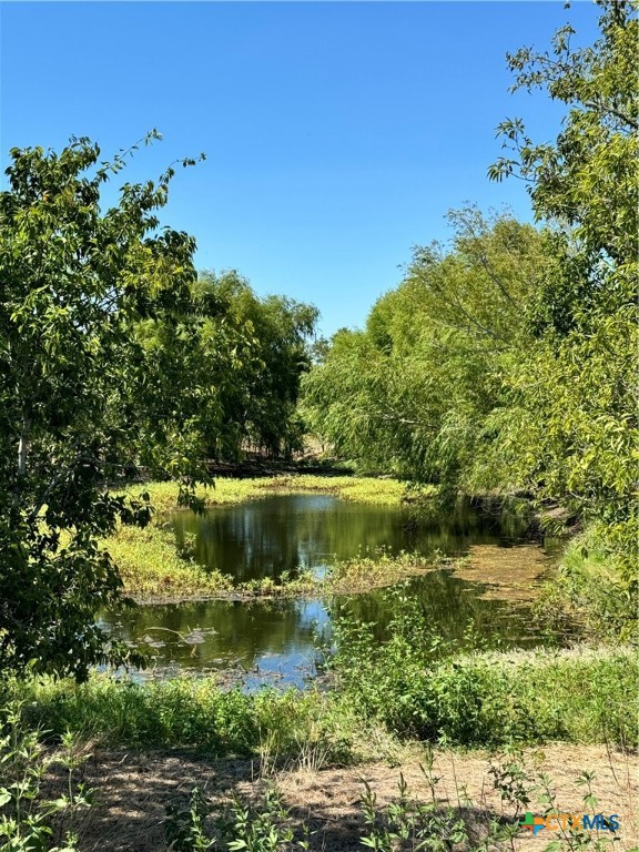 Tbd County Road 455 Property Photo 21