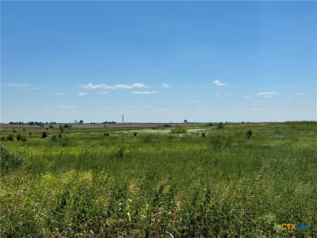 Tbd County Road 455 Property Photo 22