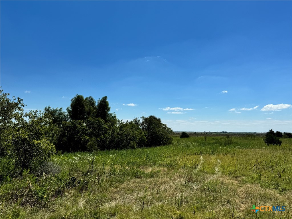 Tbd County Road 455 Property Photo 24