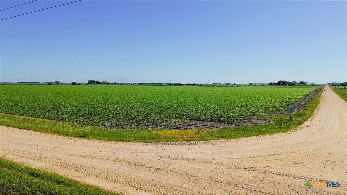 Lot 3 County Road 326 Property Photo 5