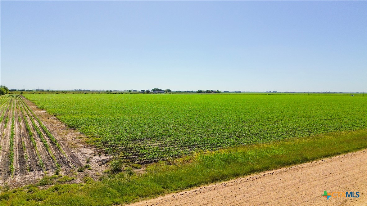 Lot 3 County Road 326 Property Photo 6