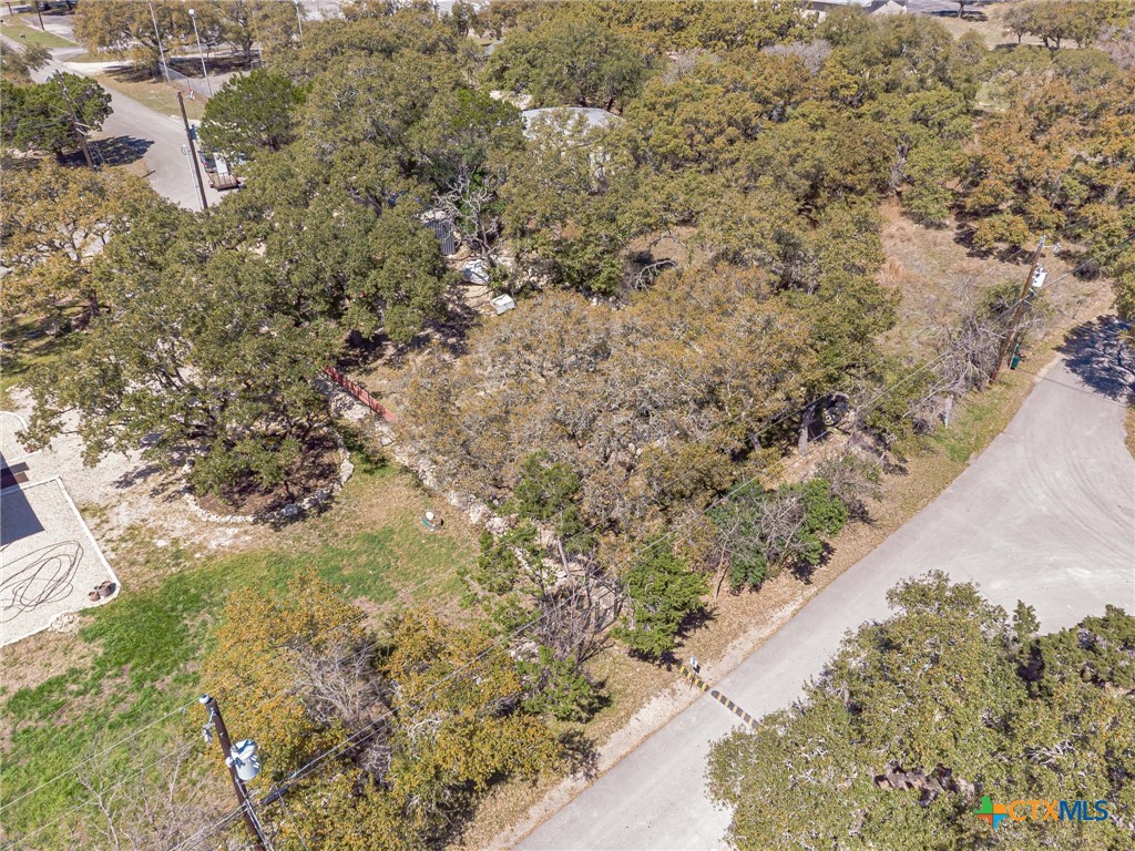 1009 Edgewater Falls Property Photo 26