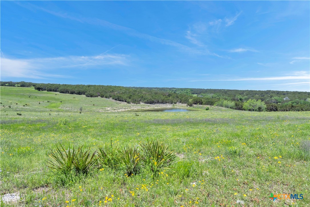 Lot 4 CR 207 Property Photo 1