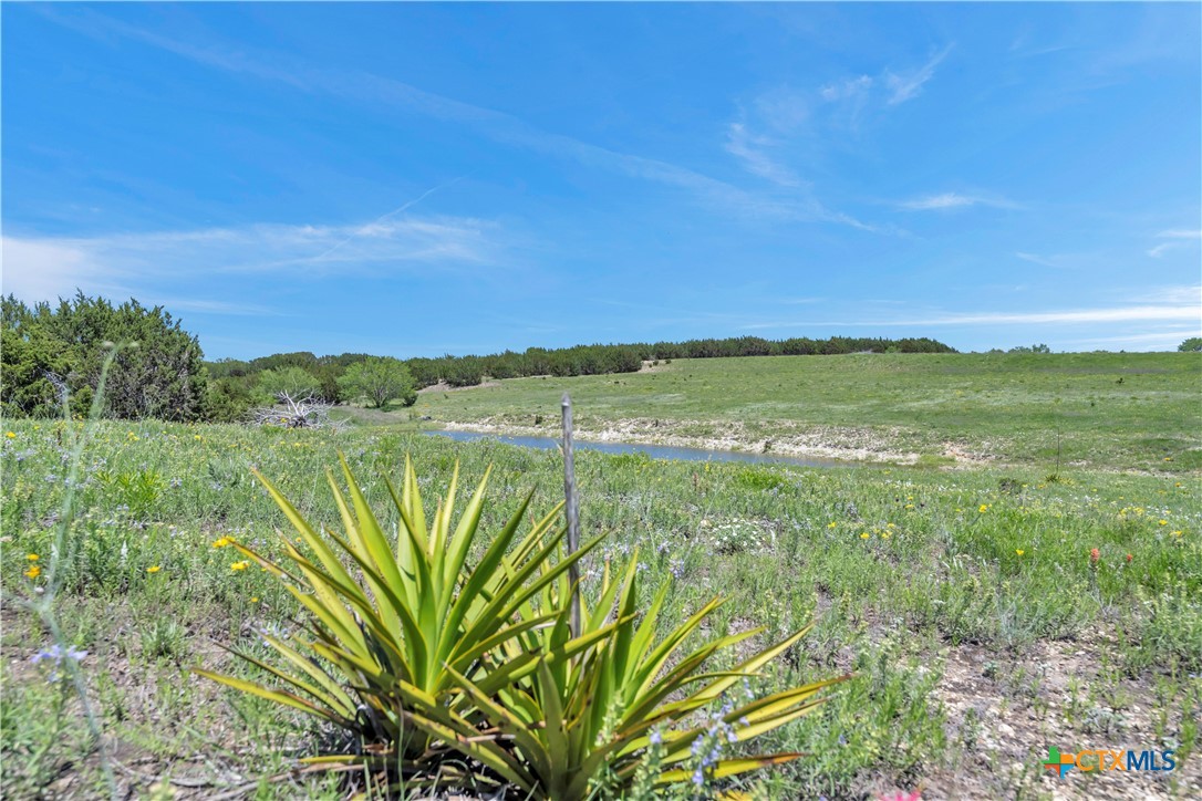Lot 4 Cr 207 Property Photo 16