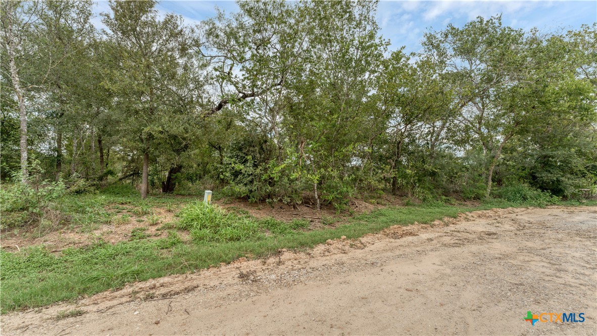 Tbd Cr 414 Property Photo 6